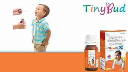 Flickdox CV Dry Syrup at Best Price in Antibiotic Franchise for Antibiotic and Bacterial Infections.
